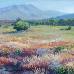 painting of a Taos, NM landscape with lots of color