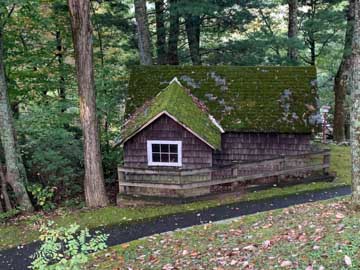 little moss-covered cabin from above