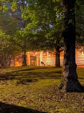 a deer lingers near a mountain pavilion at night