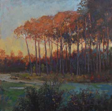 painting of Golden hour light on pine trees aligning the edge of a golf course tee box.