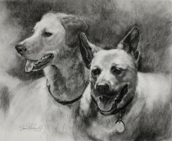charcoal on paper of a pointer dog and shepherd dog